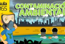 ¿Qué es la Contaminación Ambiental? | Vídeos Educativos para Niños