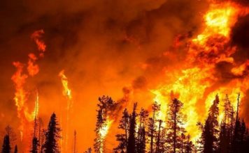 Recomendaciones de como prevenir los incendios forestales