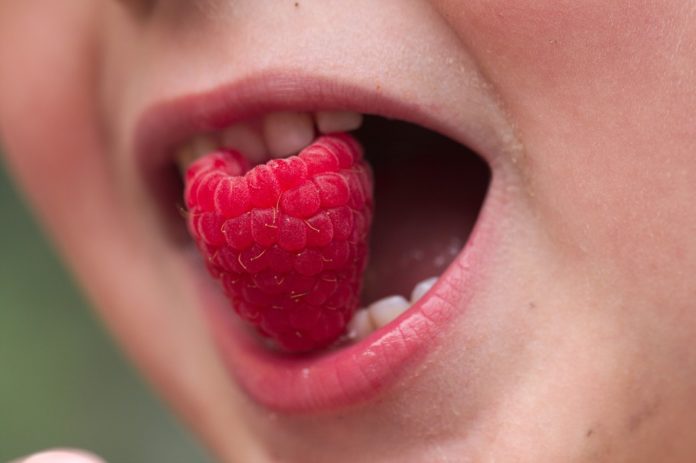 ABC de la nutrición para niños