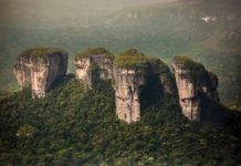 Chiribiquete en el Museo de Historia Natural de Berlín chiribiquete-museo-berlin