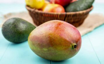 Colombia exporta por primera vez seis toneladas de mango de azúcar a los Estados Unidos Colombia exporta seis toneladas de mango de azucar a estados unidos.