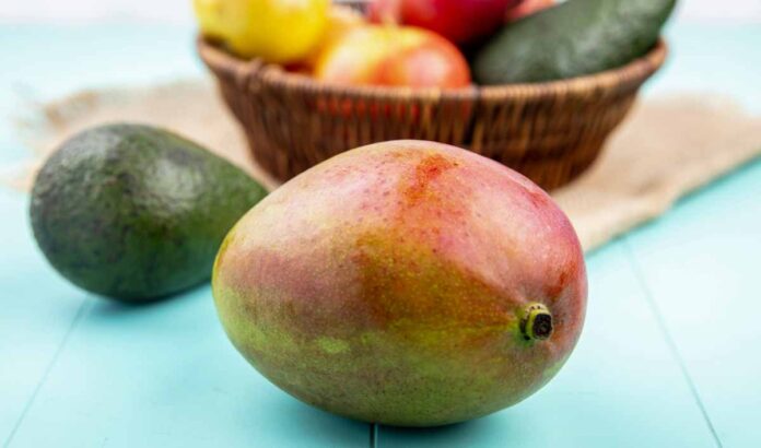 Colombia exporta seis toneladas de mango de azucar a estados unidos.