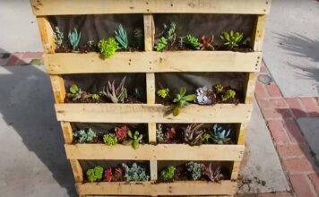 Como crear tu propio jardín vertical con palets (estibas) reciclados Jardín Vertical con palets reciclables o estibas reciclables