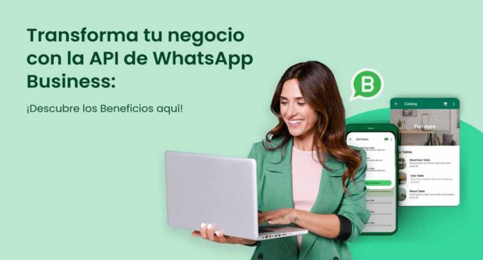 API oficial de WhatsApp