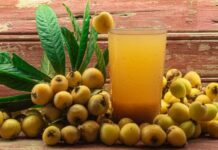 Jugo de Níspero en agua Jugo de Níspero en agua