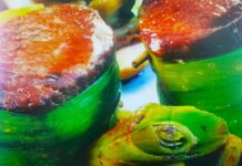 Medallones con puerros Medallones con Puerros